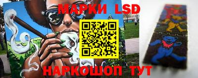 эйфоретик Берёзовский