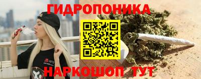 эйфоретик Берёзовский