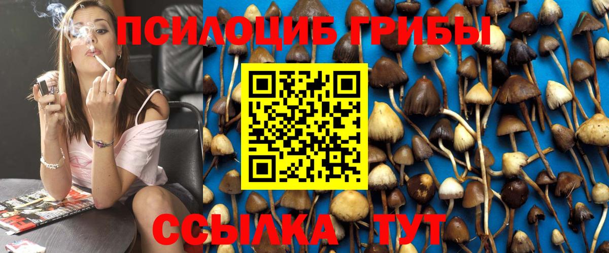 Псилоцибиновые грибы Magic Shrooms  Галлюциногенные грибы MAGIC MUSHROOMS  Вход с VPN  Кингисепп 