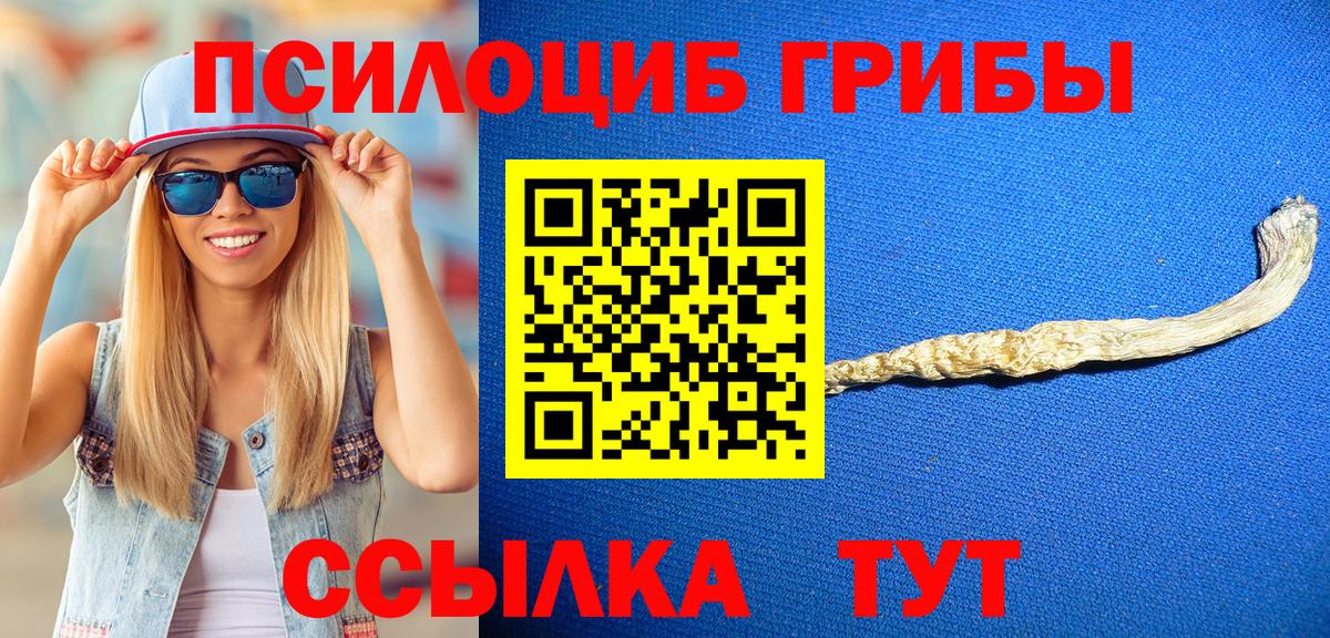 Галлюциногенные грибы MAGIC MUSHROOMS Кингисепп